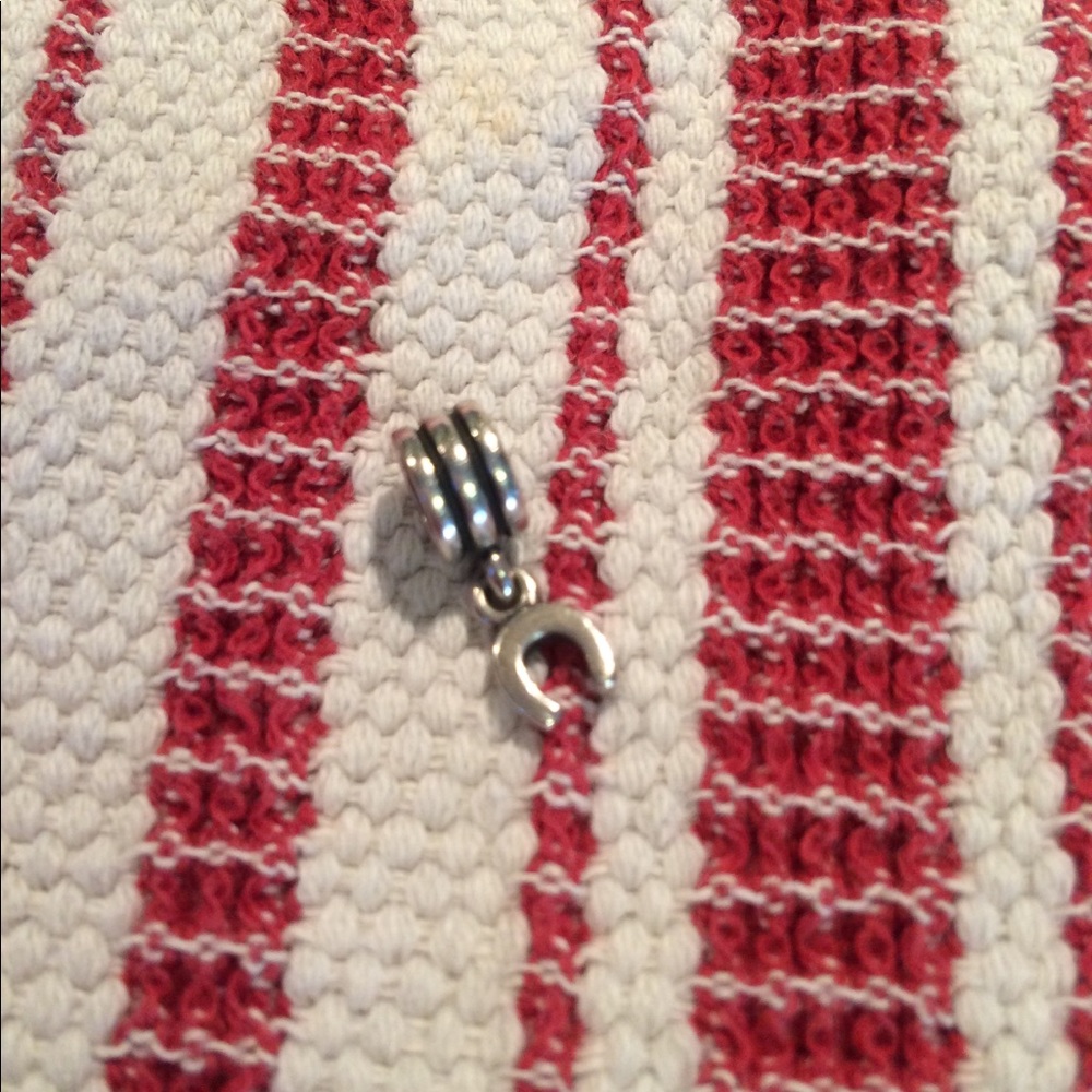 Pandora “horseshoe” charm